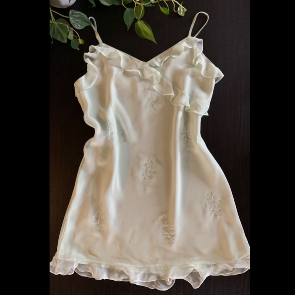 Valerie Stevens Nightie/Dress!